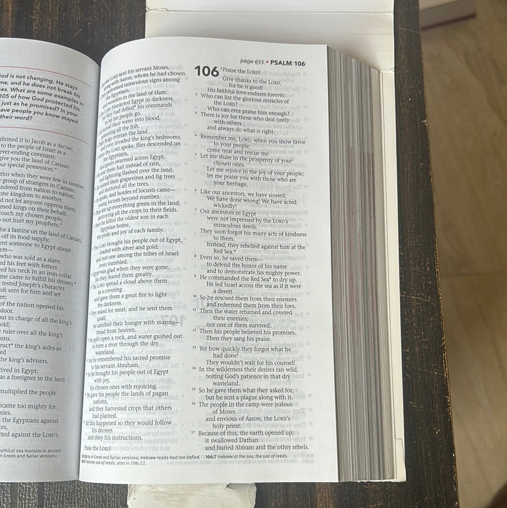 NLT Three Story Bible Clearance Sale - Import Edition