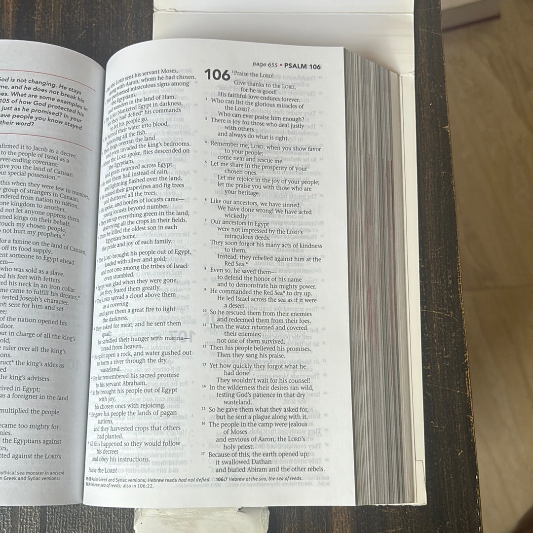 NLT Three Story Bible Clearance Sale - Import Edition
