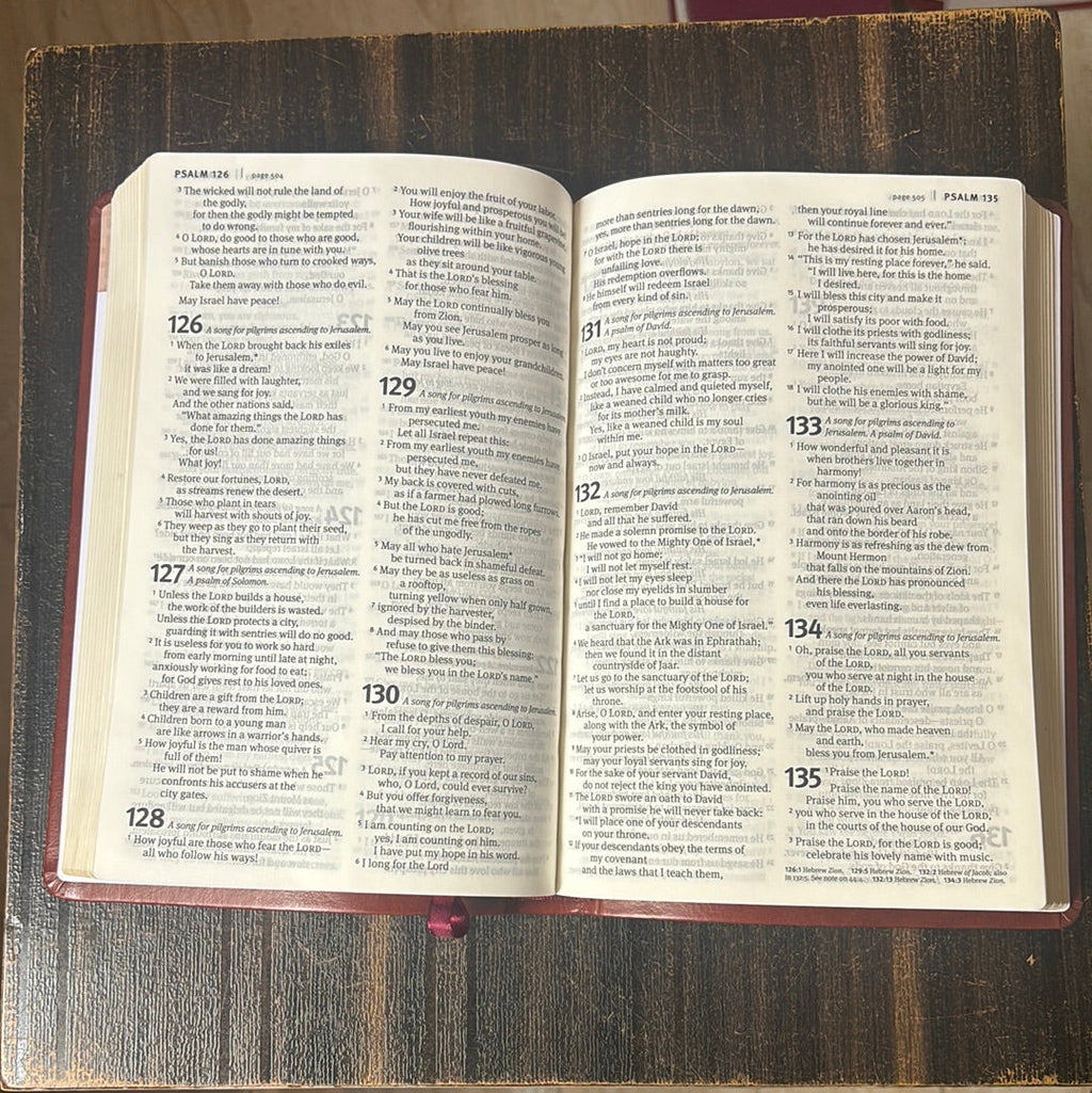 Clearance sale 2024! Premium Value Slimline Bible-NLT-Large Print Cross Leather Bound – Large Print