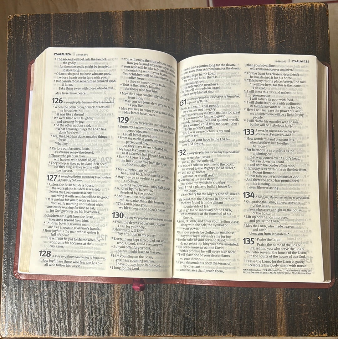 Clearance sale 2024! Premium Value Slimline Bible-NLT-Large Print Cross Leather Bound – Large Print