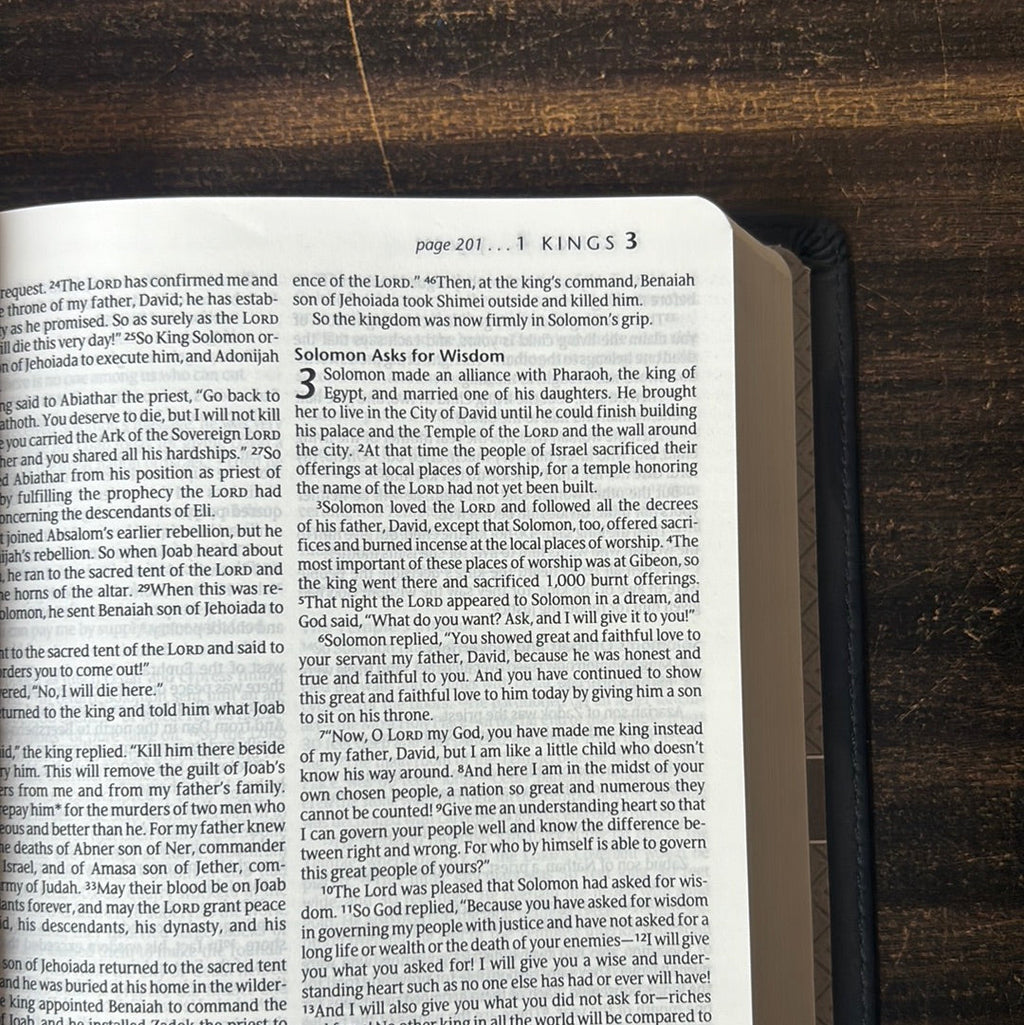 Premium Gift Bible imitation leather NLT