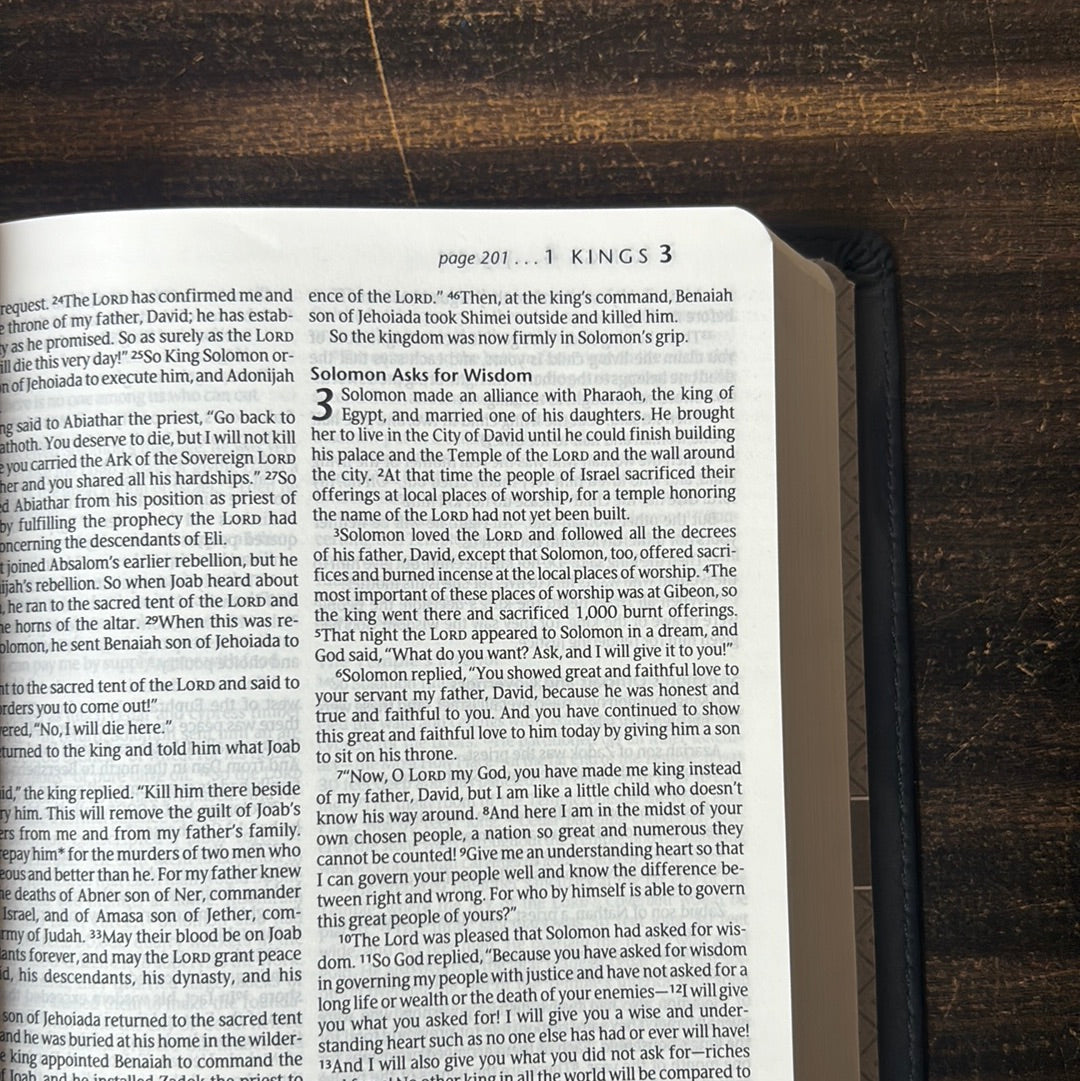 Premium Gift Bible imitation leather NLT