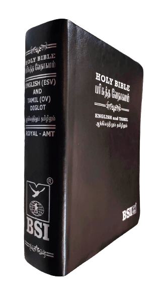 Tamil-English Parallel Bible, Large Font China Print Edition, BSI Black Leather with Silver Edges (ISBN: 9789393511881)