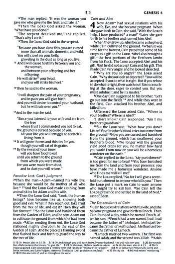 NLT New Living Translation Bible, Compact Size with Zipper Closure, Charcoal Patch Design (ISBN: 9781496455512)