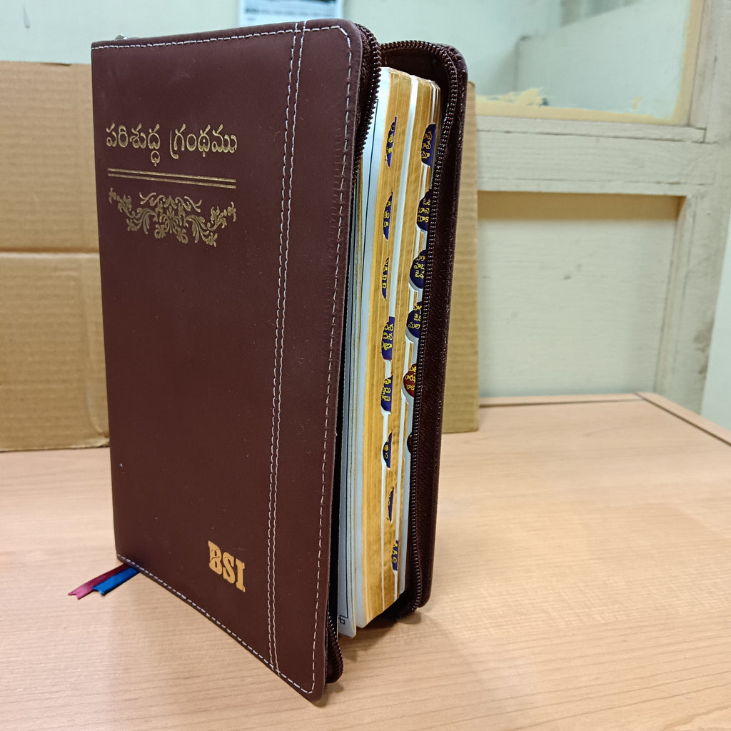 Holy Bible (Telugu)