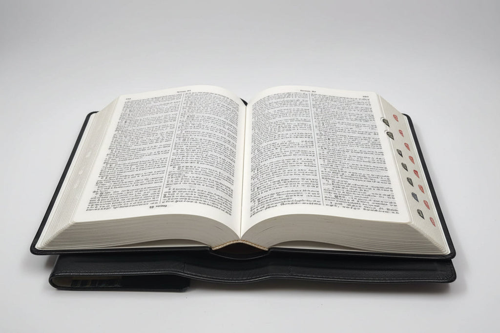 Limited Edition Tamil Bible Compact Black Bonded Leather with Magnetic Flap & Thumb Index (TI) | NAP Translation | Portable Devotional Bible