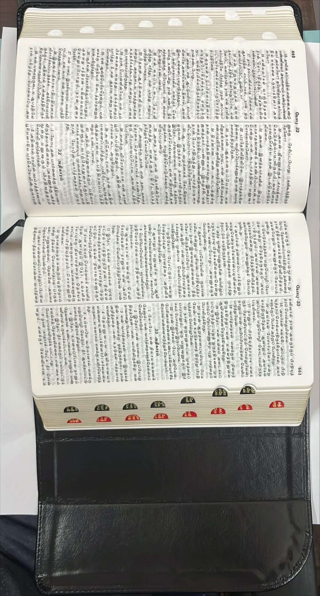 Tamil Bible, Semi-Compact Edition, Black Magnetic Flap Cover with Thumb Index (ISBN: 9788119095933)