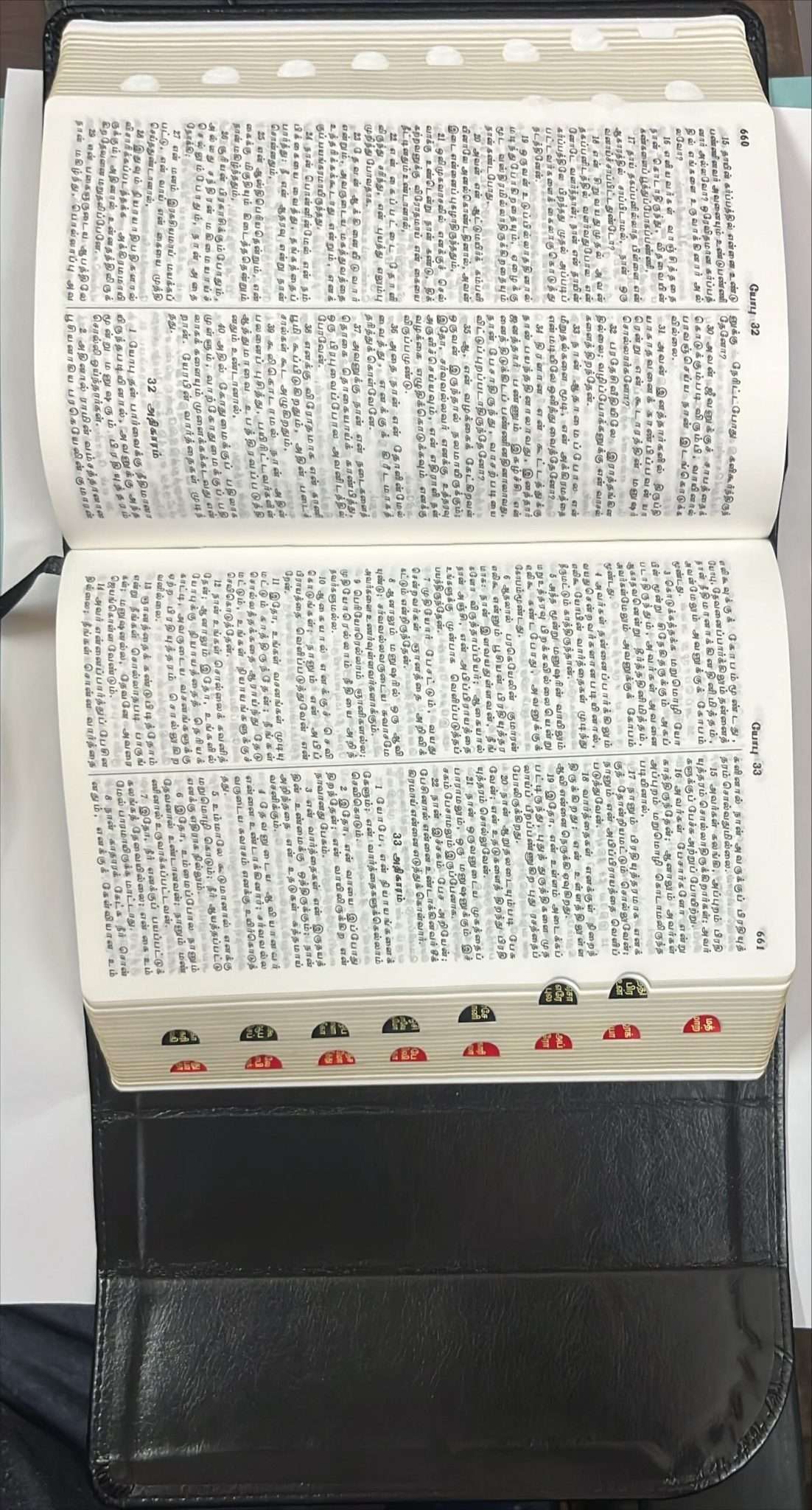 Tamil Bible, Semi-Compact Edition, Black Magnetic Flap Cover with Thumb Index (ISBN: 9788119095933)