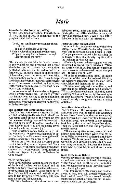 NLT Premium Value Thinline Bible: Dusty Pink Vines Leather-Like Cover (ISBN: 978196484789)
