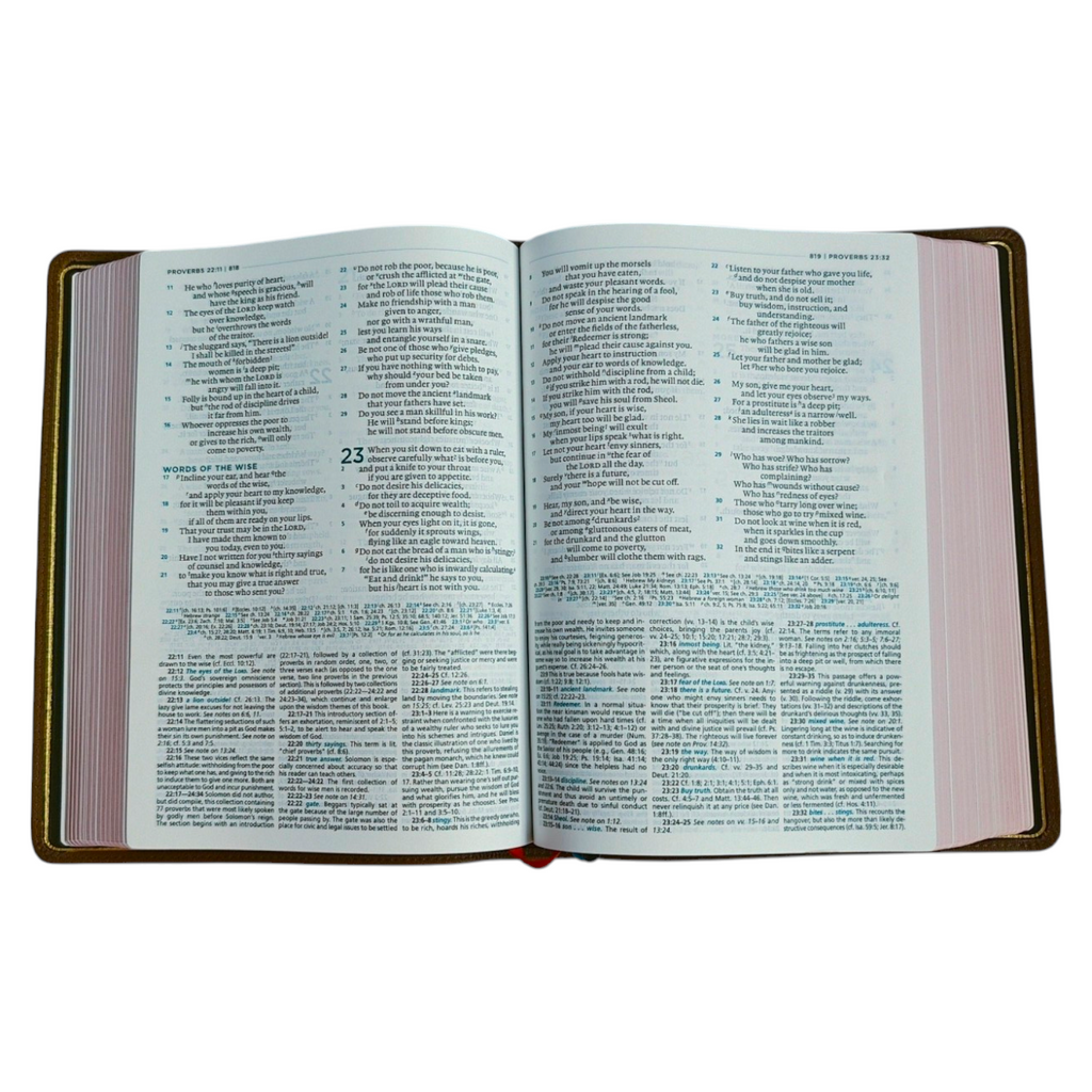 ESV MacArthur Study Bible, Second Edition – Premier Collection, Brown Goatskin Leather (Edge-Lined, Thomas Nelson)