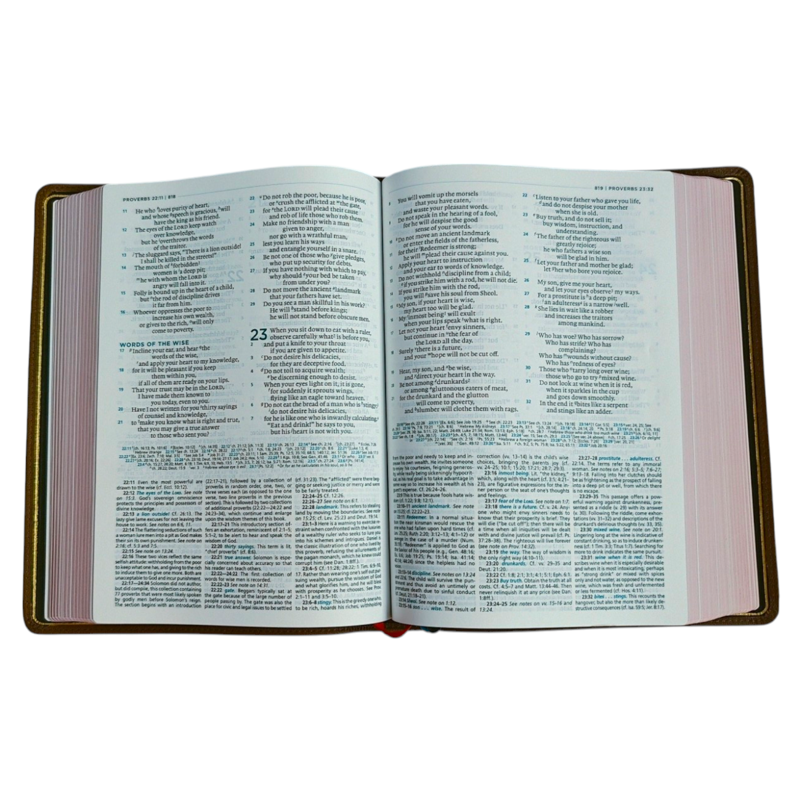 ESV MacArthur Study Bible, Second Edition – Premier Collection, Brown Goatskin Leather (Edge-Lined, Thomas Nelson)