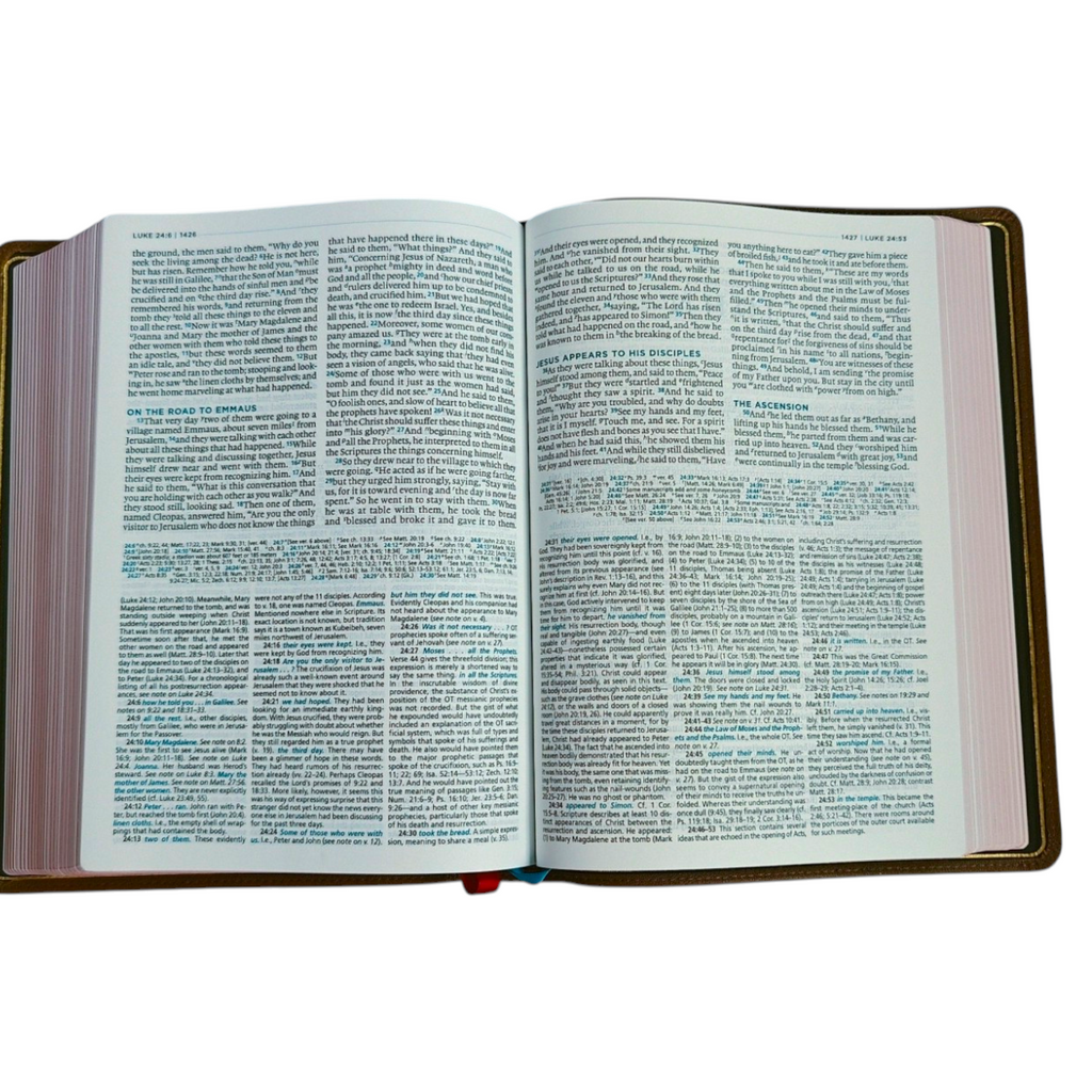 ESV MacArthur Study Bible, Second Edition – Premier Collection, Brown Goatskin Leather (Edge-Lined, Thomas Nelson)