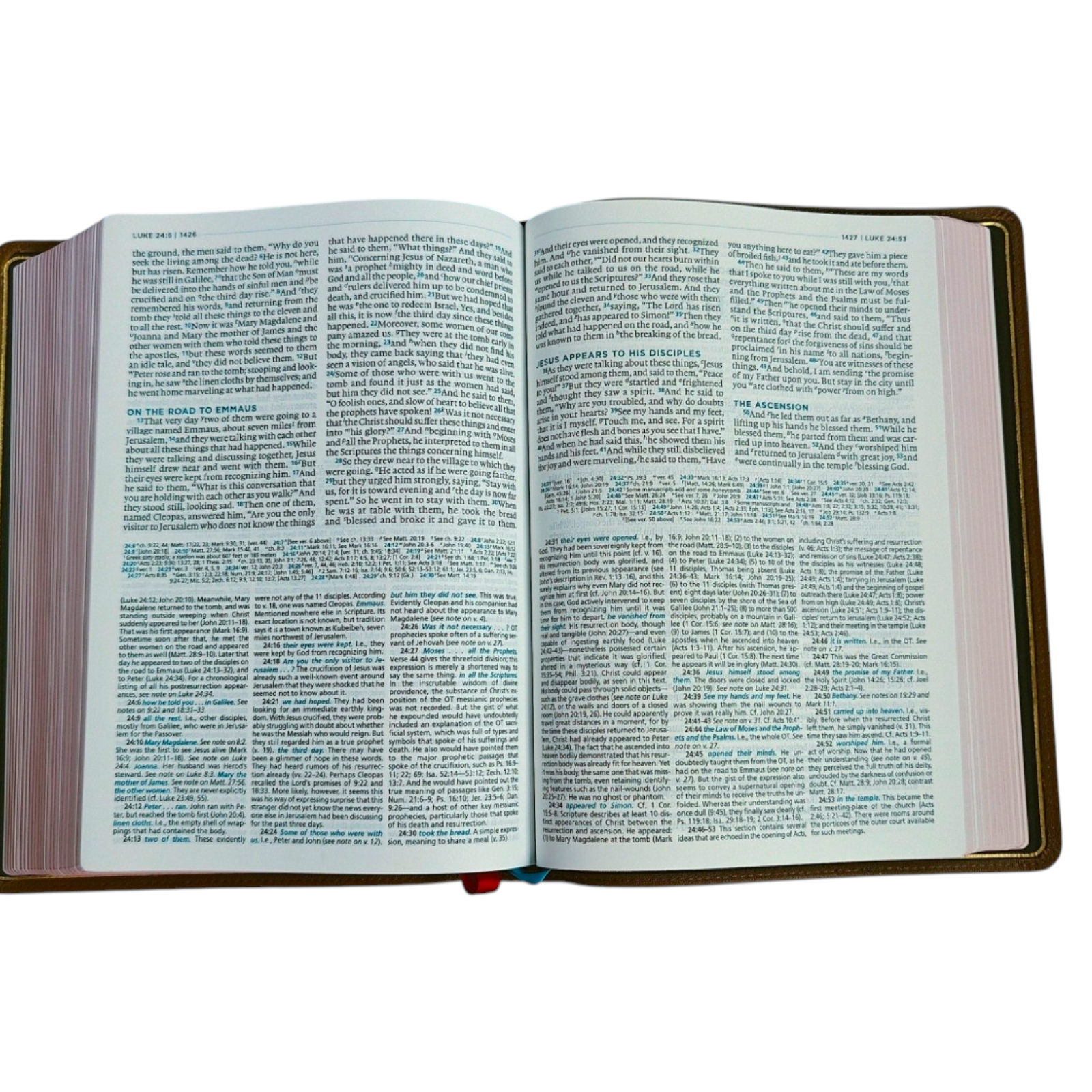 ESV MacArthur Study Bible, Second Edition – Premier Collection, Brown Goatskin Leather (Edge-Lined, Thomas Nelson)