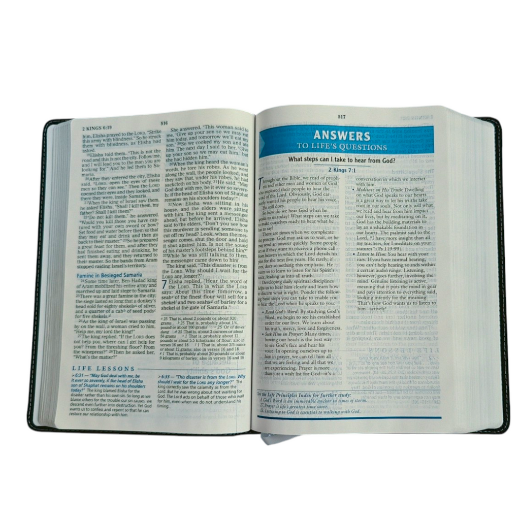 NIV Charles F. Stanley Life Principles Bible, Large Print – Charcoal Leathersoft