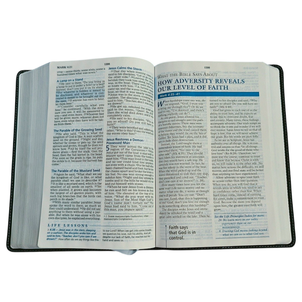 NIV Charles F. Stanley Life Principles Bible, Large Print – Charcoal Leathersoft