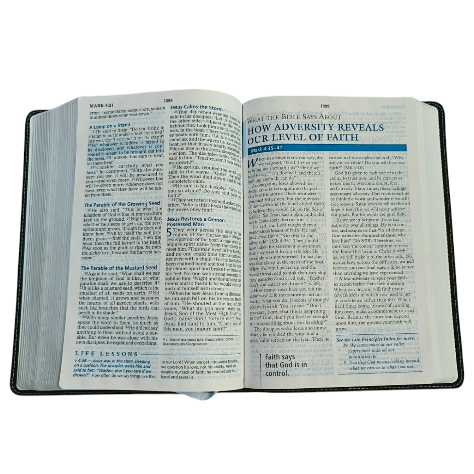 NIV Charles F. Stanley Life Principles Bible, Large Print – Charcoal Leathersoft