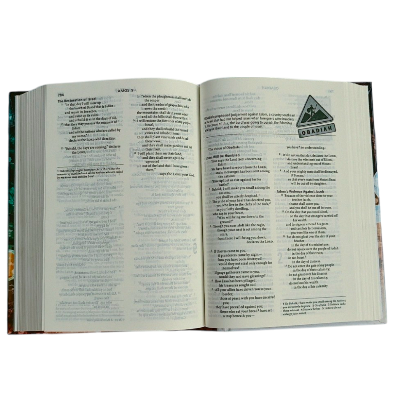 ESV Youth Bible – Hardcover Bible for Teens & Young Readers