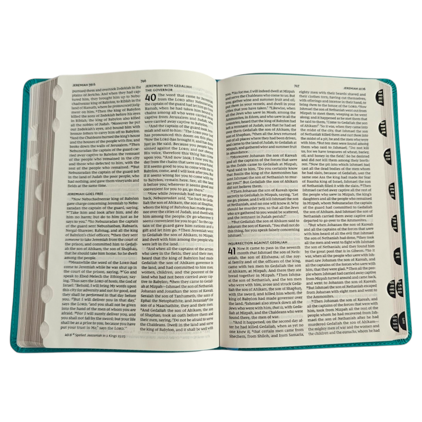 NKJV Verse Art Thinline Bible – Teal Leathersoft, Exodus 15:2 (Thomas Nelson Cover Collection)