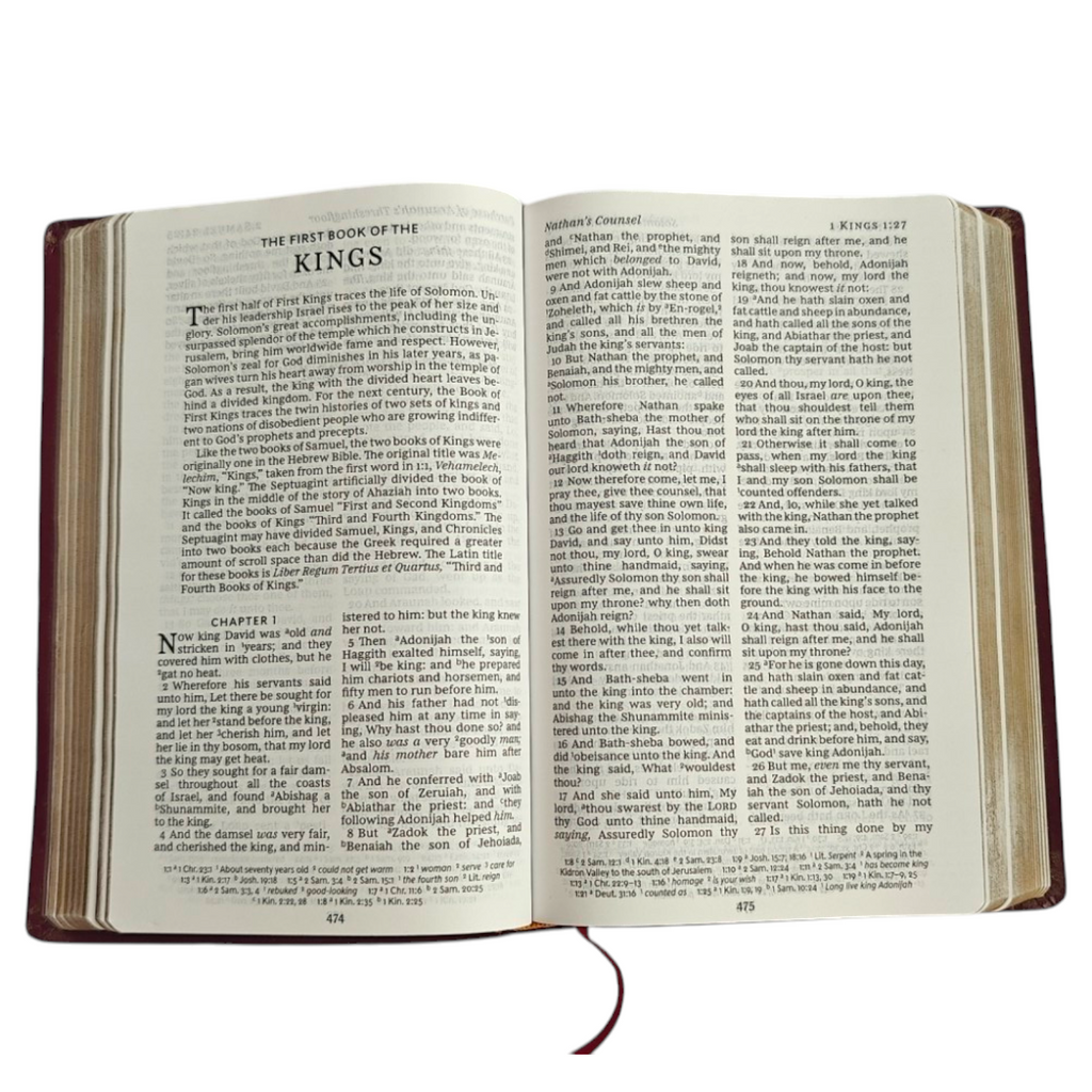 KJV Personal Size Giant Print Reference Bible, Comfort Print – Burgundy Leatherflex, Lay Flat (Thomas Nelson)
