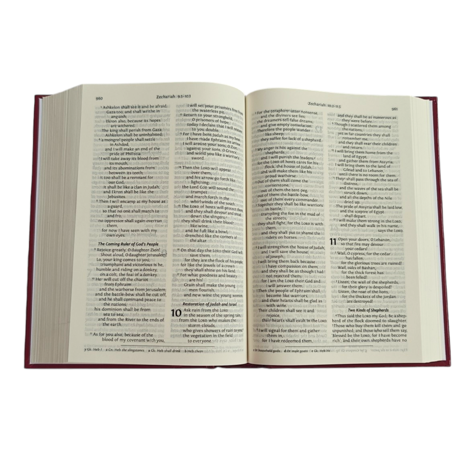 NRSV Holy Bible with Concordance – Hardcover, Anglicised Text (Bible Society of India)