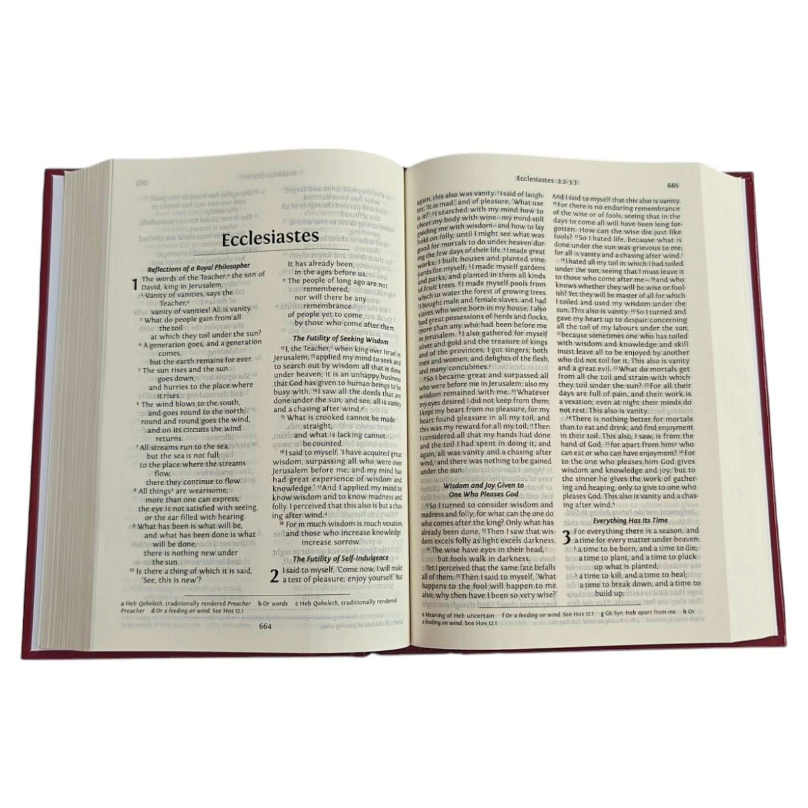 NRSV Holy Bible with Concordance – Hardcover, Anglicised Text (Bible Society of India)