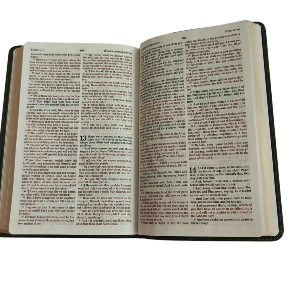 Holman KJV Thinline Bible – Olive LeatherTouch (Pure Cambridge Edition)