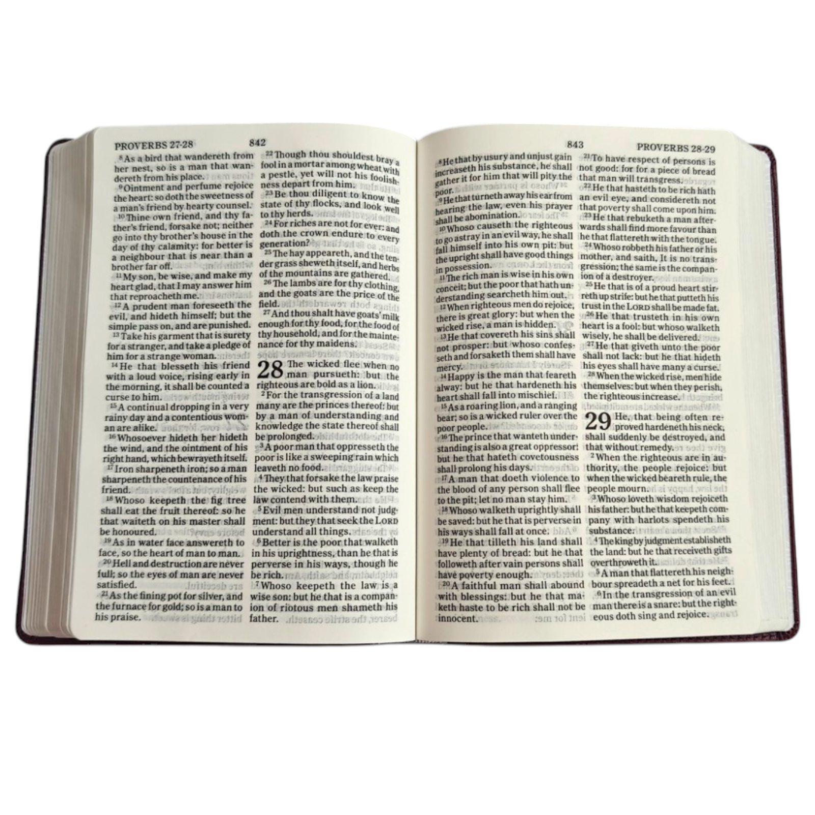 KJV Holy Bible, Large Print Edition – Burgundy PU Leather (Scandinavia Publishing House, 2024)