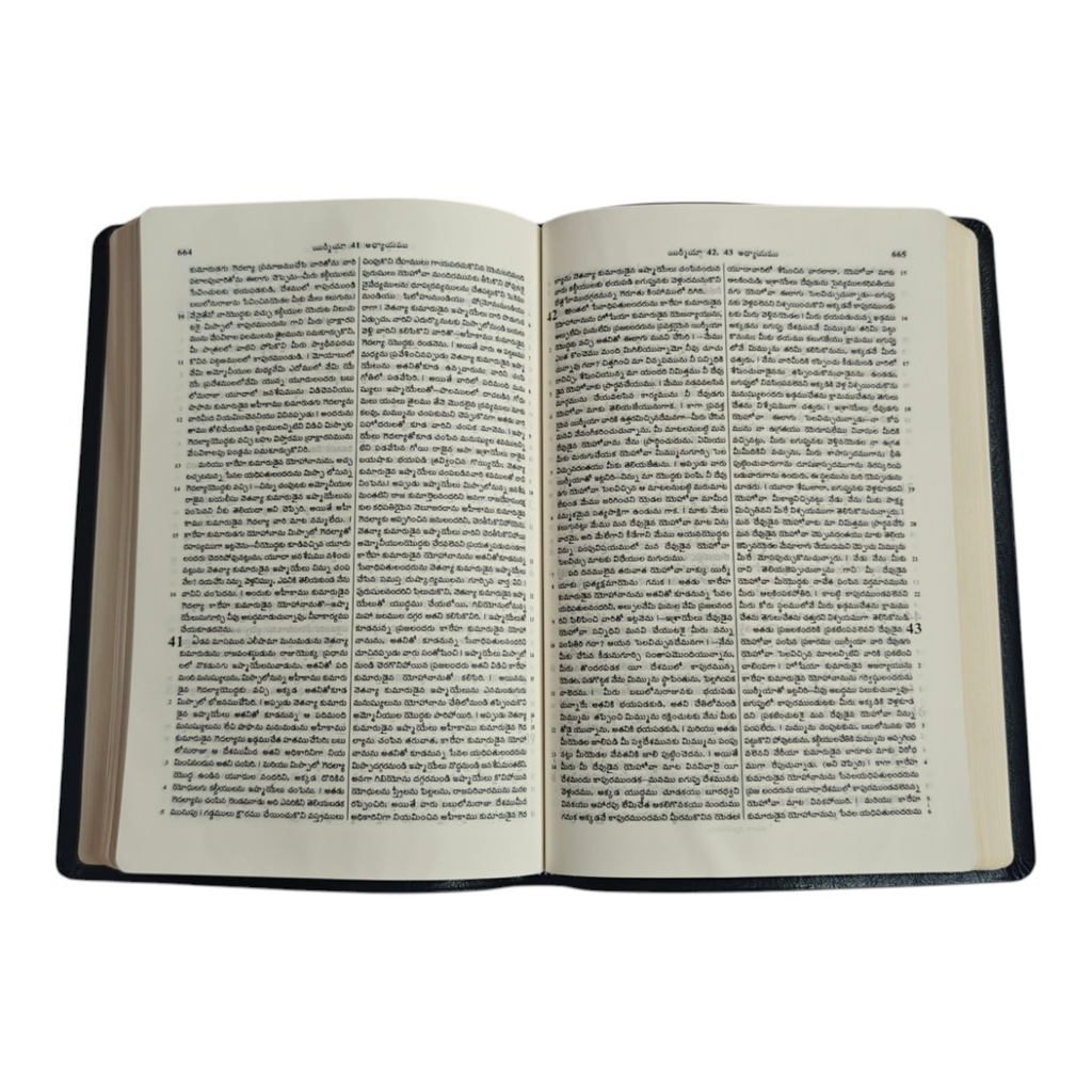 Telugu Holy Bible, Royal Size – పరిశుద్ధ గ్రంథము, Black Leatherette with Gilded Edges (BSI)