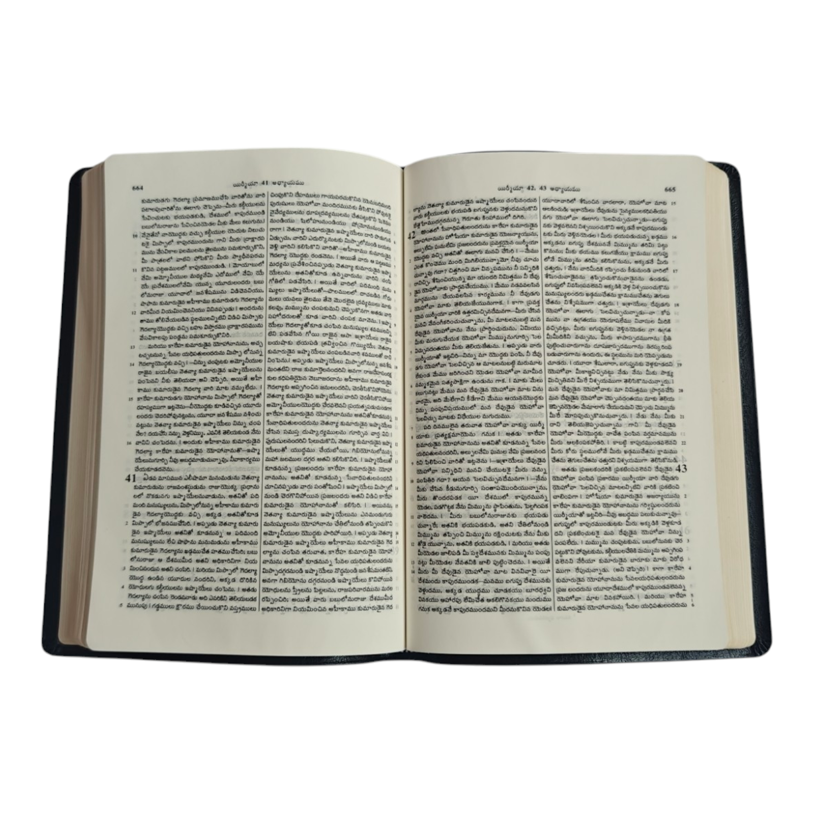 Telugu Holy Bible, Royal Size – పరిశుద్ధ గ్రంథము, Black Leatherette with Gilded Edges (BSI)