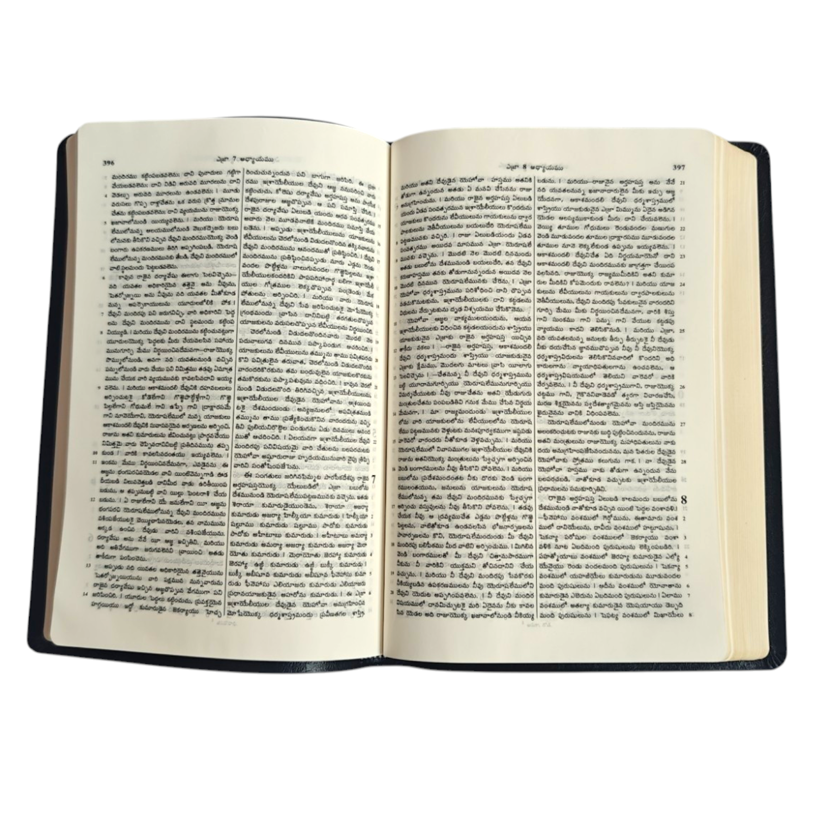 Telugu Holy Bible, Royal Size – పరిశుద్ధ గ్రంథము, Black Leatherette with Gilded Edges (BSI)