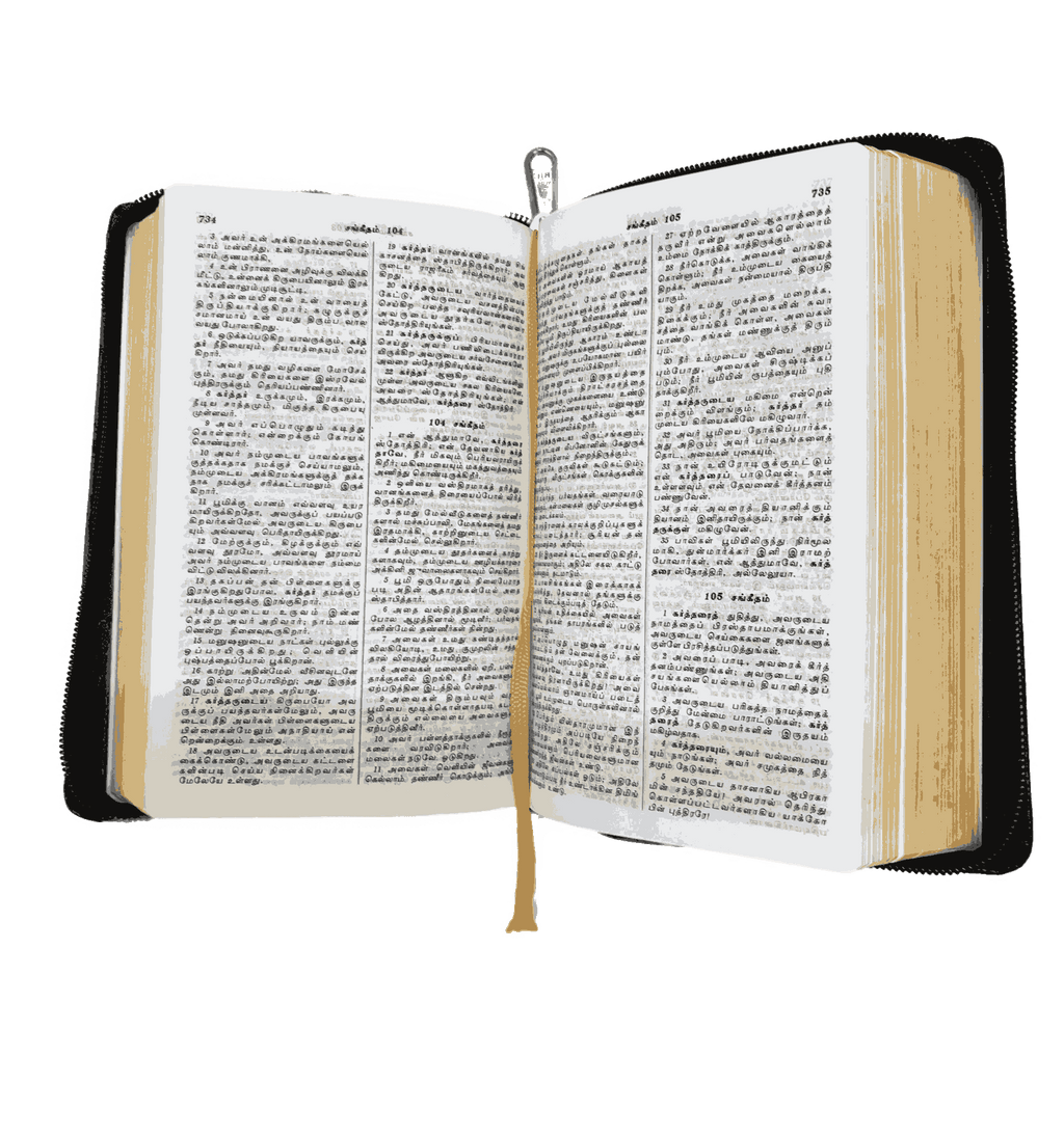 Limited Edition Tamil Bible, Demy Size with Gilt Binding (14.5 cm x 22 cm)