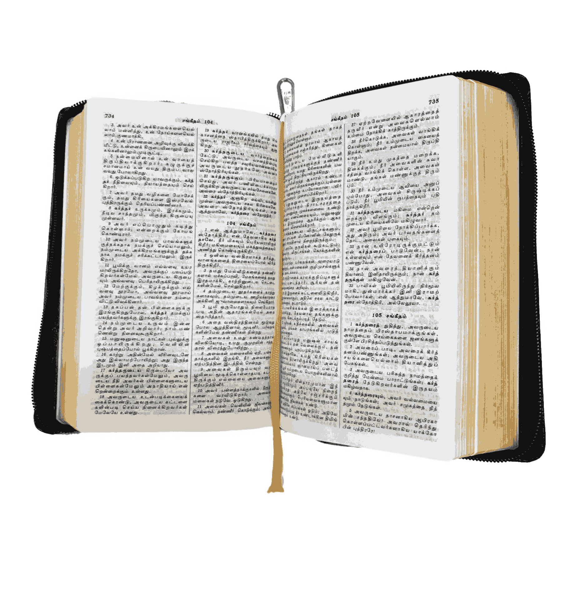 Limited Edition Tamil Bible, Demy Size with Gilt Binding (14.5 cm x 22 cm)