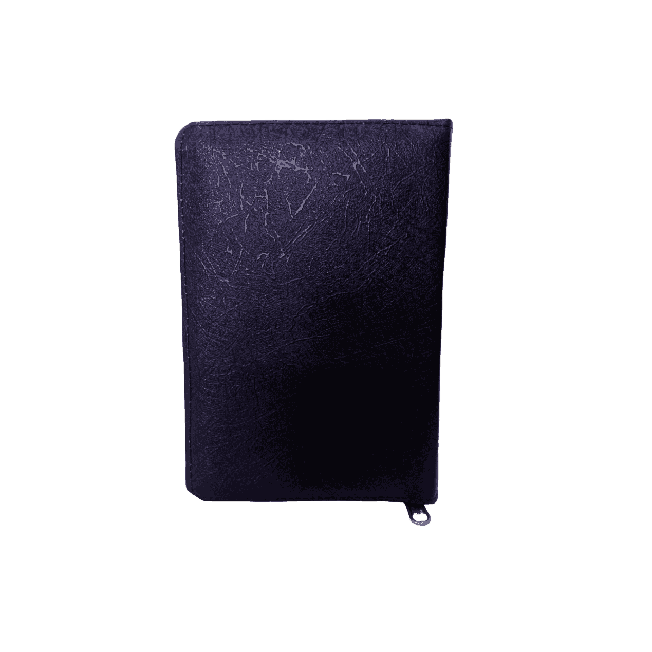Limited Edition Tamil Bible, Demy Size with Gilt Binding (14.5 cm x 22 cm)