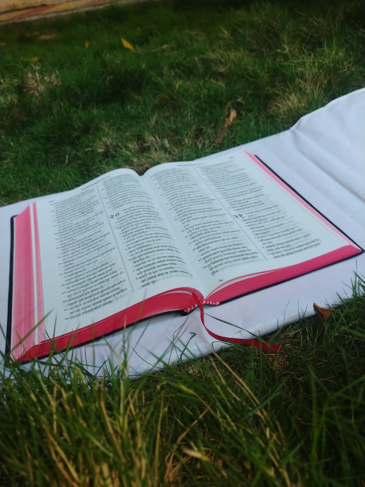 Nepali Holy Bible - BSI version containing Old and New Testament. Packing, Delivery Included.