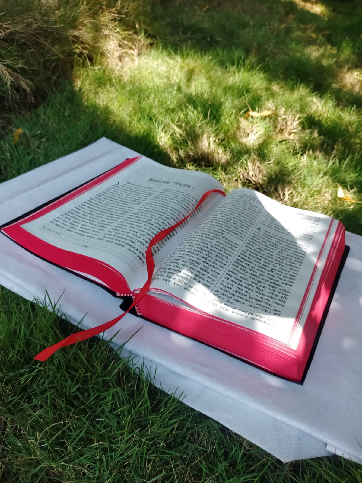 Bengali Holy Bible - BSI version containing Old and New Testament. Packing, Delivery Included.