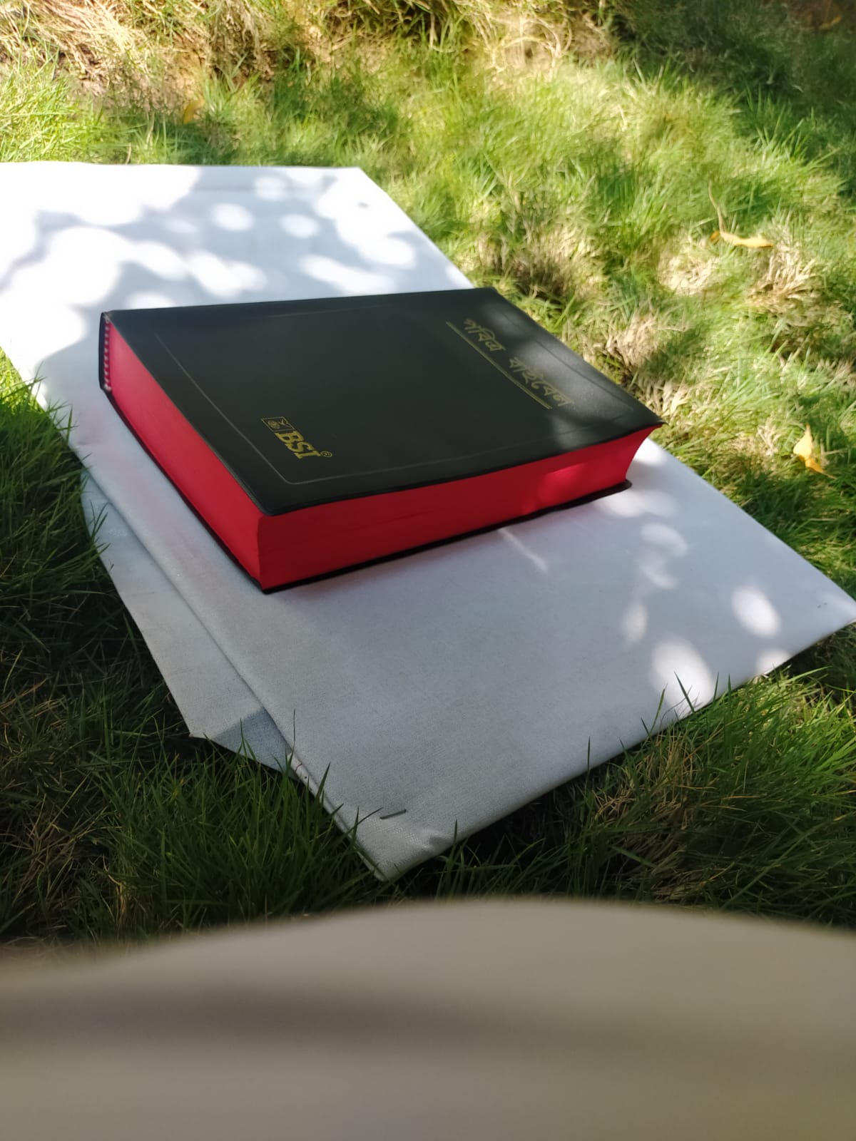 Bengali Holy Bible - BSI version containing Old and New Testament. Packing, Delivery Included.