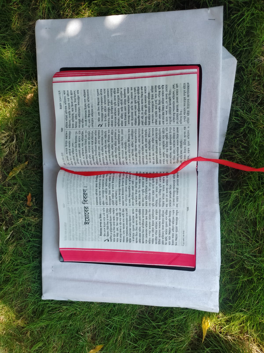 Bengali Holy Bible in English - BSI version with Old and New Testament
