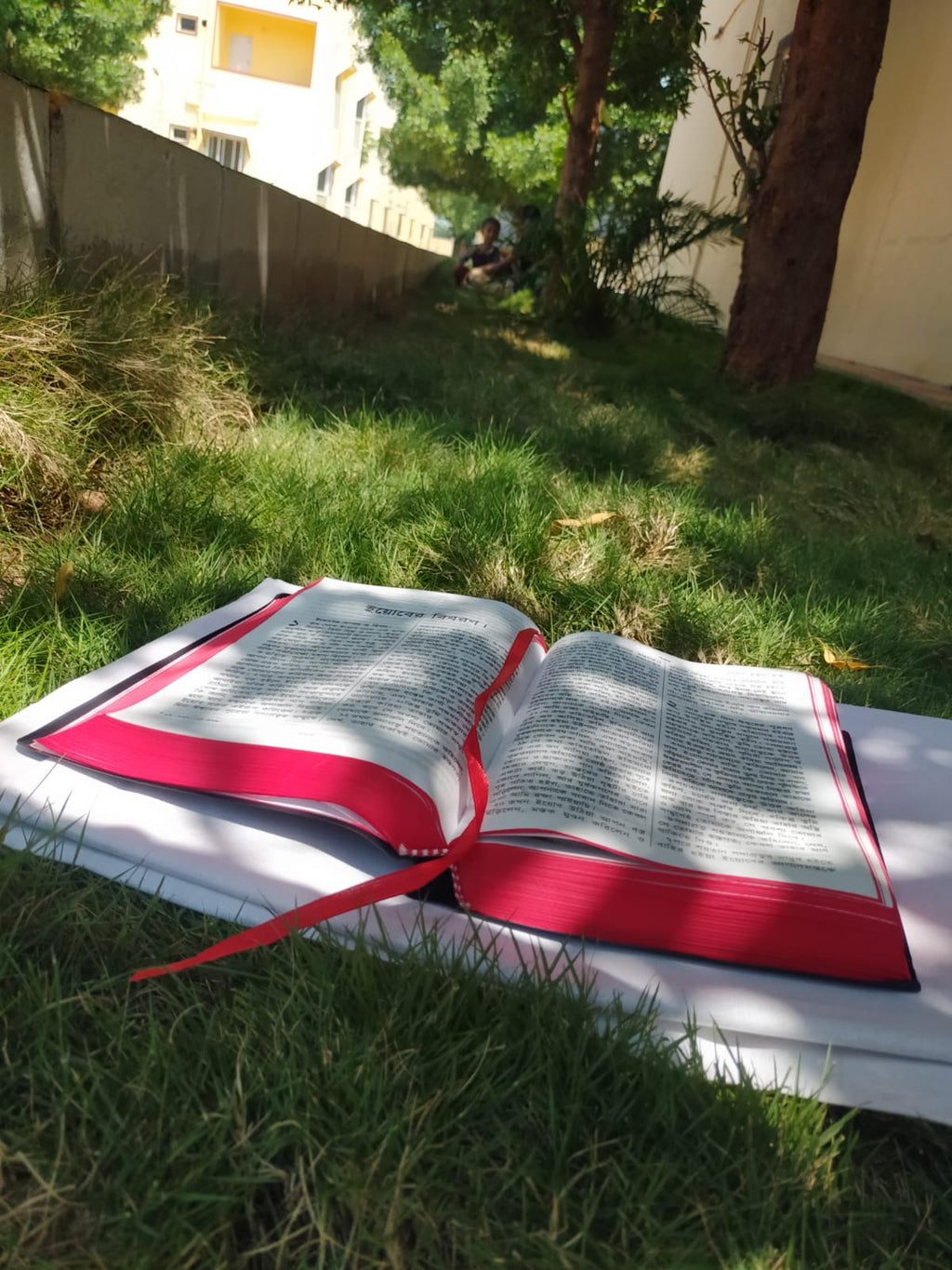Bengali Holy Bible in English - BSI version with Old and New Testament