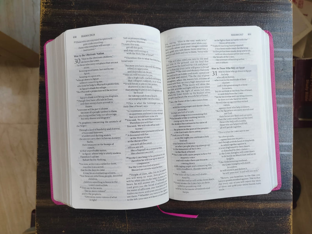 Imitation leather bound NIV Women's Devotional Bible