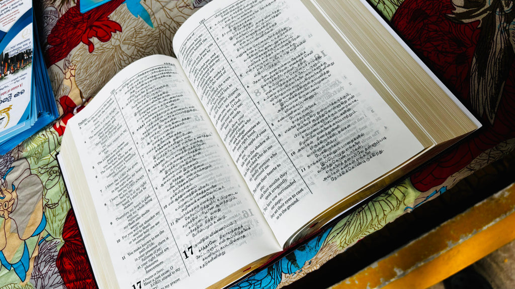 Limited Edition Bilingual Holy Bible Tamil - English Royal Leather Edition (Amity)