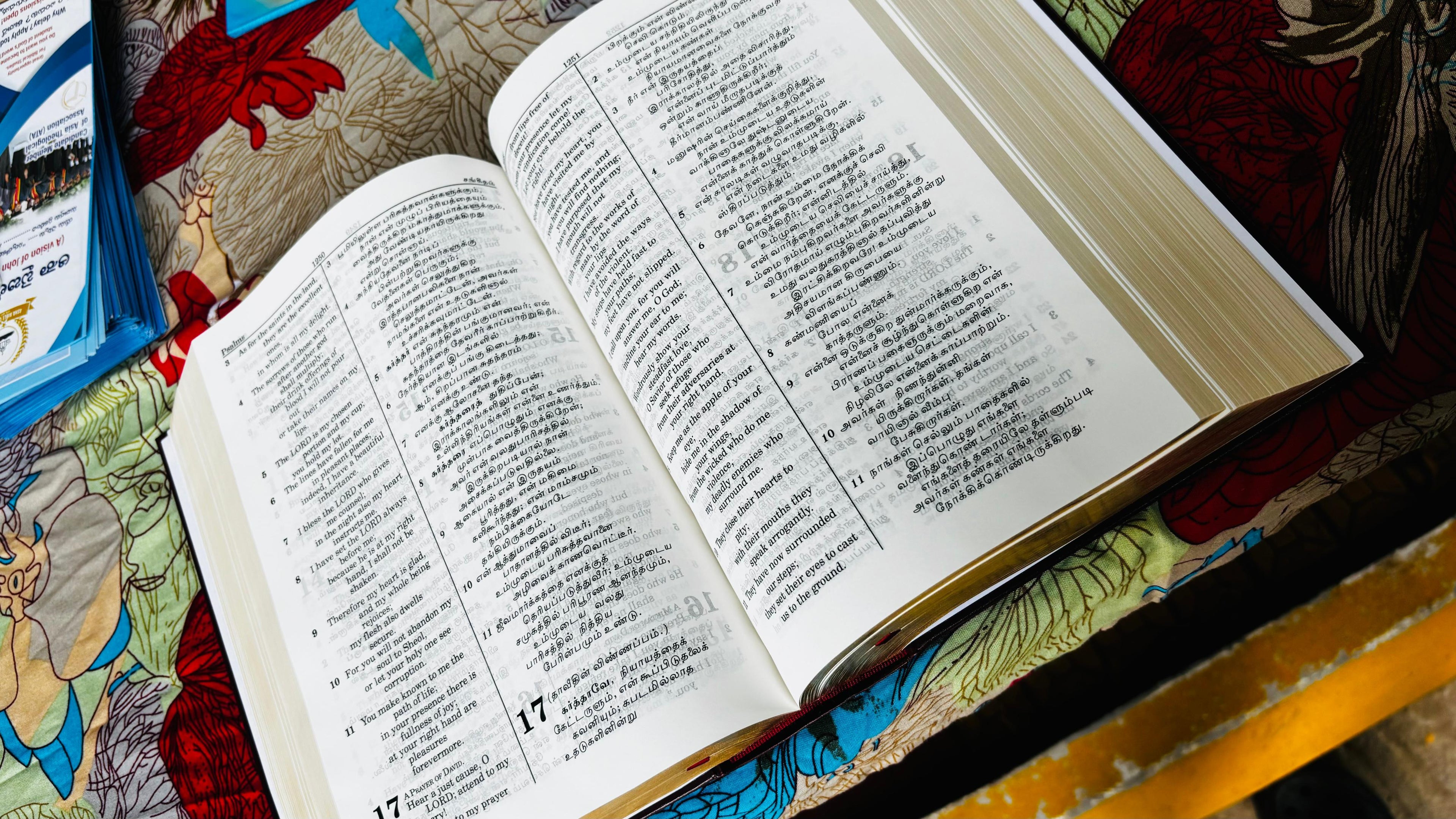 Limited Edition Bilingual Holy Bible Tamil - English Royal Leather Edition (Amity)