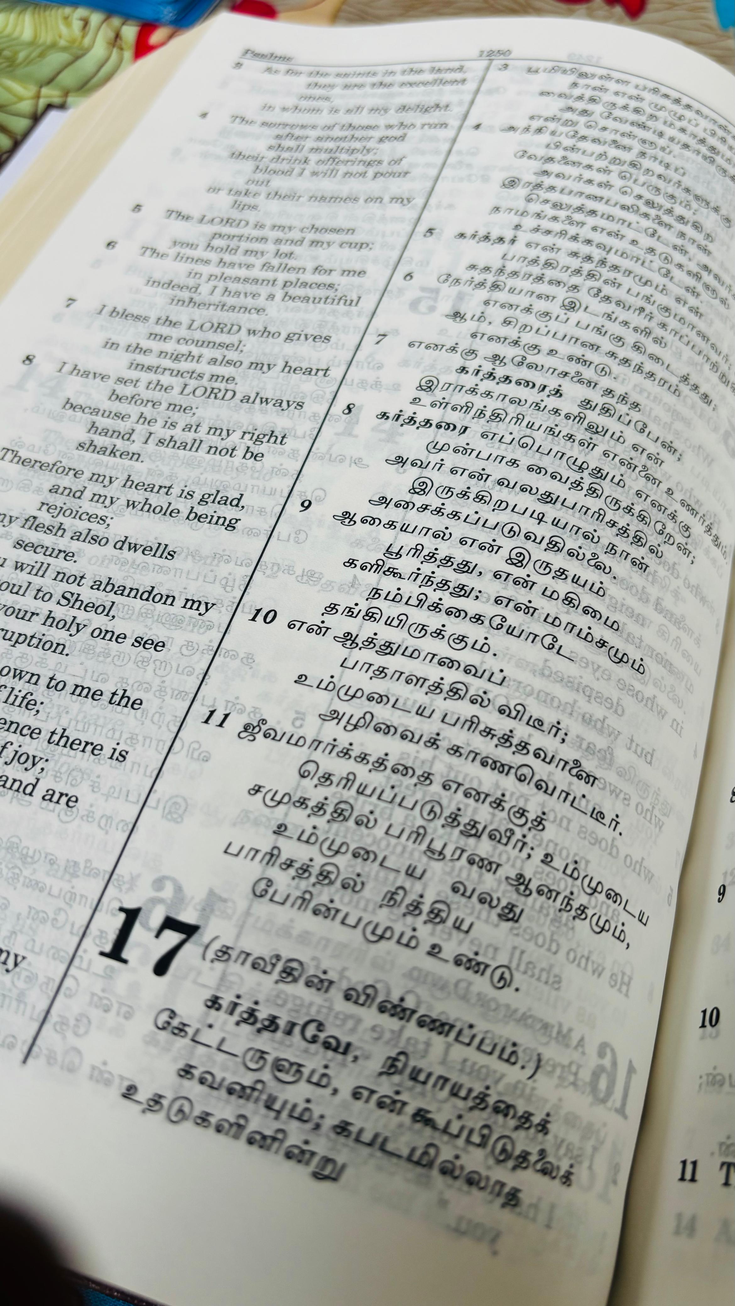 Limited Edition Bilingual Holy Bible Tamil - English Royal Leather Edition (Amity)
