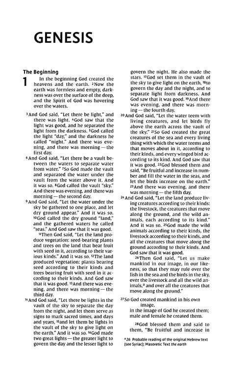 NIV Thinline Bible: Comfort Print Edition, Brown Soft Leather Cover