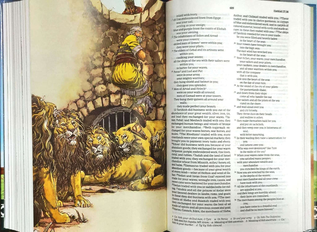 NRSV Children’s Bible, Hardbound Edition (ISBN: 9781496472014)