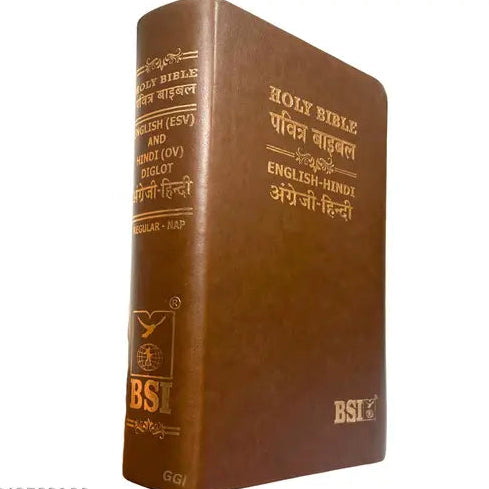 Holy Bible: Hindi-English Bilingual Diglot Edition