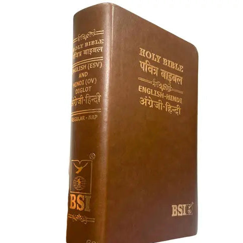 Holy Bible: Hindi-English Bilingual Diglot Edition