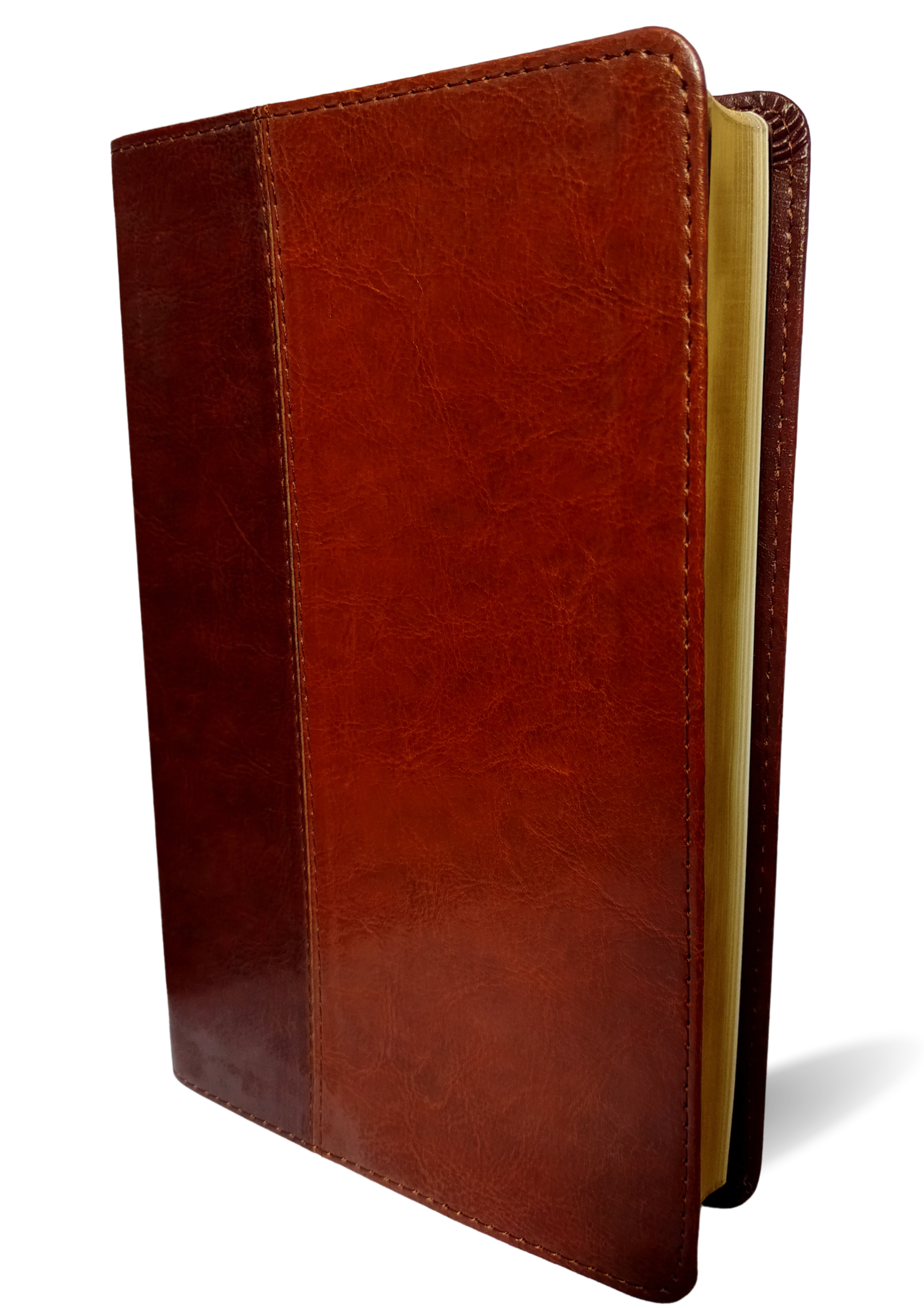NLT Slimline Center Column Reference Bible, Large Print Imitation Leather – Large Print