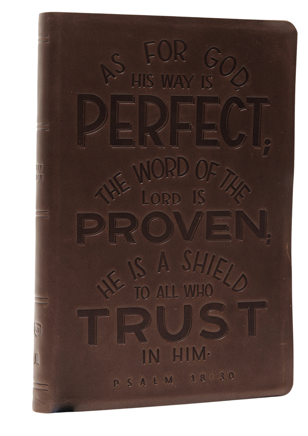 NKJV, Thinline Bible, Verse Art Cover Collection, Genuine Leather, Brown, Red Letter, Comfort Print: Holy Bible, New King James Version Leather Bound. Simple/ Indexed