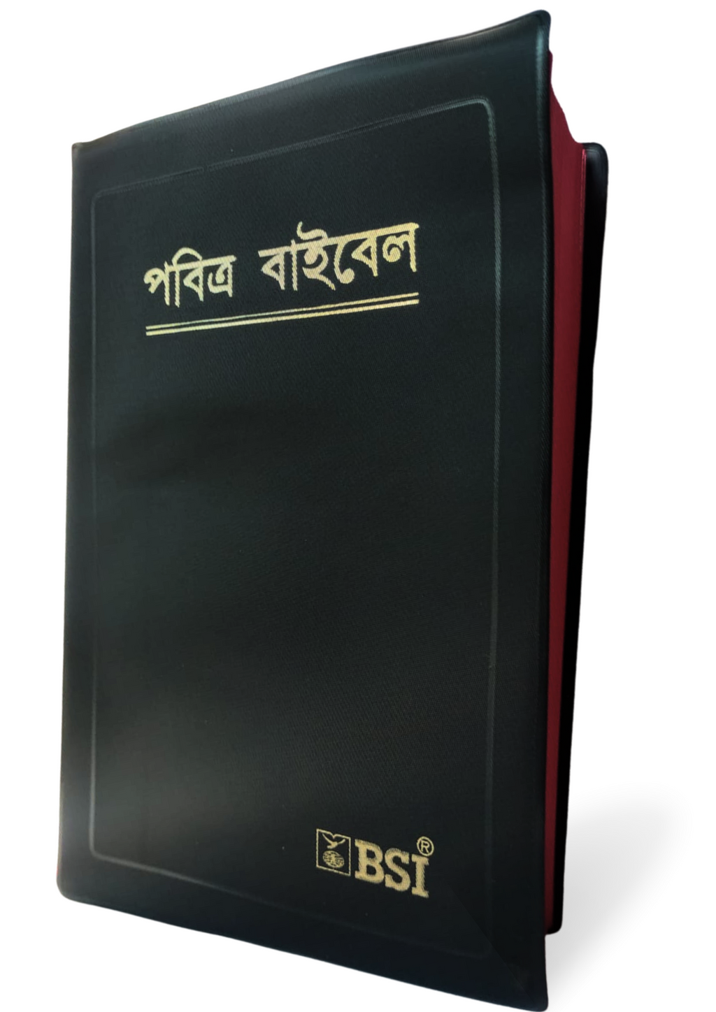 Bengali Holy Bible in English - BSI version with Old and New Testament