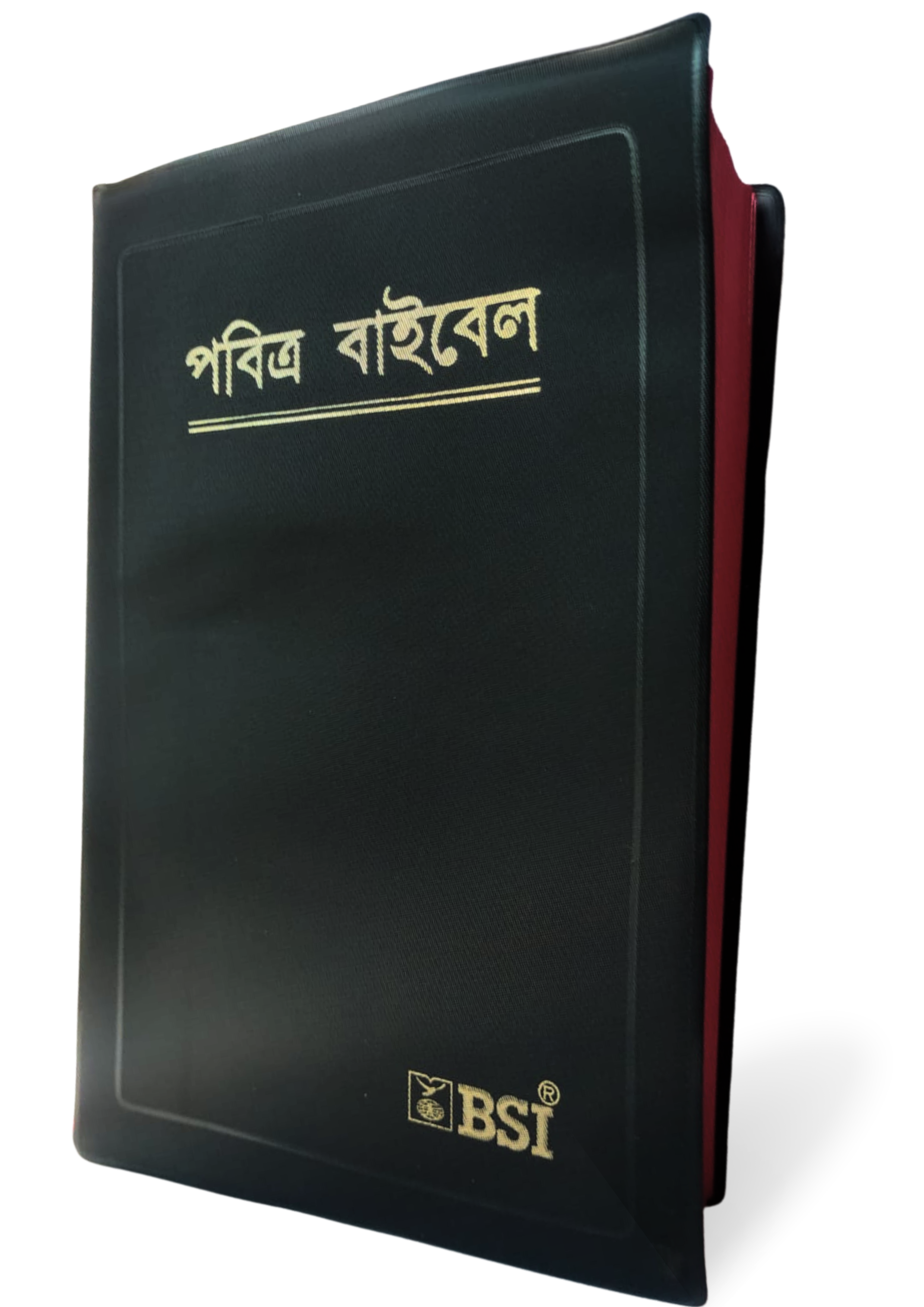 Bengali Holy Bible in English - BSI version with Old and New Testament